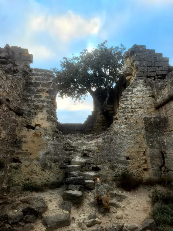 Vestiges du village troglodytique de Barry