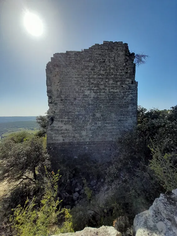Ruines et vestiges médiévaux du massif de Barry